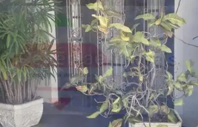 Casa com 4 quartos à venda no Centro, Taubaté 