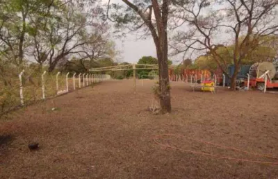 Chácara à venda, 2000 m² por r$ 350.000,00 - chácara flora araraquara - araraquara/sp