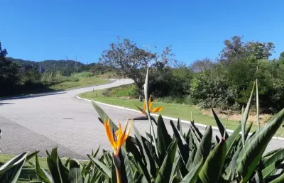 Terreno à venda na Rua Rodrigo Rampinelli Jeremias, Itacorubi, Florianópolis