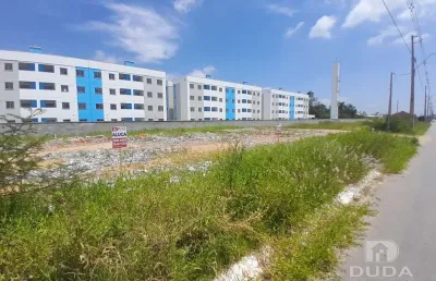 Terreno comercial para alugar na Rua João Carlos Espíndola, Nova Palhoça, Palhoça