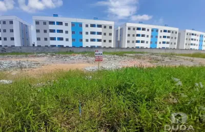 Terreno comercial para alugar na Rua João Carlos Espíndola, Nova Palhoça, Palhoça