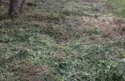 Terreno à venda em ubatumirim, ubatuba  por r$ 450.000