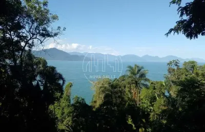 Casa com 4 quartos à venda em ponta grossa, ubatuba  por r$ 2.350.000