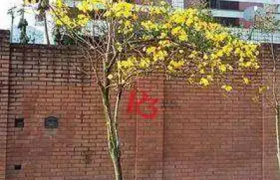 Sobrado com 3 dormitórios à venda, 163 m² por r$ 700.000,00 - caneleira - santos/sp