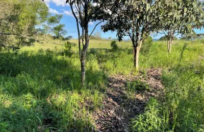 Terreno comercial à venda na estrada velha da guaricana, zona rural, são josé dos pinhais, 4800 m2 por r$ 350.000