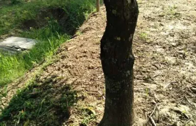 Terreno à venda, 6225 m² por r$ 622.500,00 - convívio reconquista - salto/sp