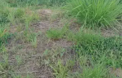 Terreno à venda, 314 m² por r$ 400.000,00 - condomínio jardim siena - indaiatuba/sp