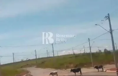 Terreno, tijuco preto, caçapava - r$ 24 mil, cod: 1263