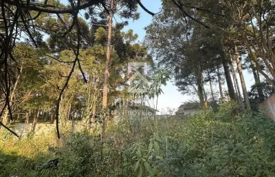 Terreno à venda na rua baruch spinoza, 21, aristocrata, são josé dos pinhais por r$ 1.200.000