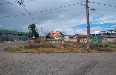 Terreno comercial para alugar na rua salomão miguel nasser, 1811, guatupê, são josé dos pinhais por r$ 2.000