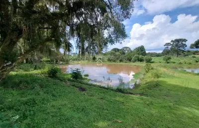 Chácara / sítio com 3 quartos para alugar na rua henrique cetnarski, 330, colônia malhada, são josé dos pinhais por r$ 7.000