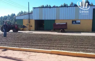 Fazenda à venda, 8000000 m² por r$ 32.000.000 - vila pinto - varginha/mg