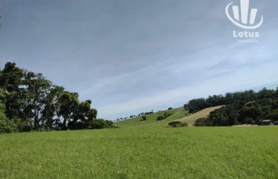 Sítio à venda, 69575 m² por r$ 1.600.000,00 - vale verde - santo antônio de posse/sp