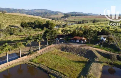 Sítio à venda, 157300 m² por r$ 2.900.000,00 - zona rural - ouro fino/mg