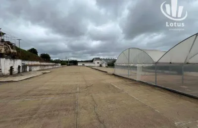 Fazenda à venda, 3020000 m² - jardim planalto ii - poços de caldas/mg