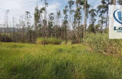 Sítio à venda, 32600 m² por r$ 1.000.000,00 - centro (três pontes) - amparo/sp