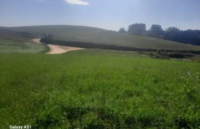 Excelente área de 78.727,62m² (3,26 alqueires) excelente localização a 9 km do centro de araucária, a apenas 800m do asfalto - apenas r$ 1.700.000,00