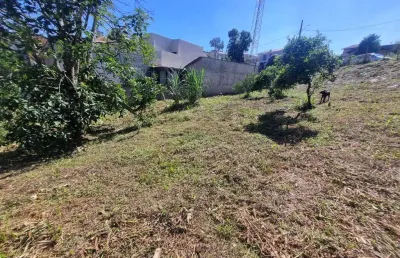 Ótimo terreno medindo 852,00m² no centro de araucária ideal para construção de apartamentos, próximo a havan, apenas r$ 790.000,00