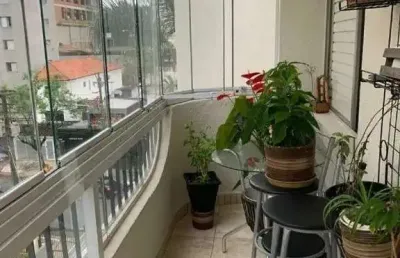Apartamento 65 m² localizado no bairro vila mascote v