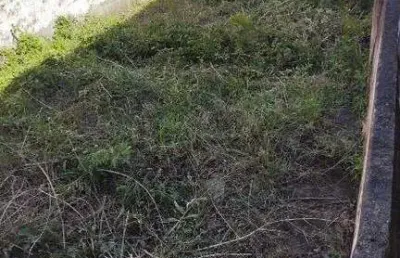 Terreno à venda na Rua Doutor Miranda de Azevedo, 944, Vila Anglo Brasileira, São Paulo