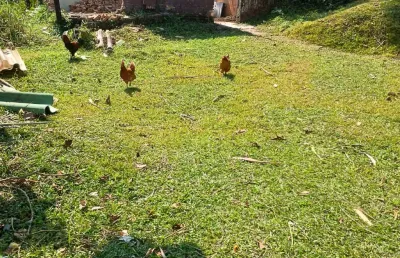 Vendo terreno em ribeirão pires, próximo ao centro, ótimo para investimento