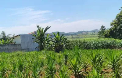 Terreno à venda na Estrada Keida Harada, Ipelândia, Suzano