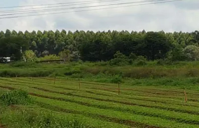 Terreno à venda na Estrada Keida Harada, Ipelândia, Suzano