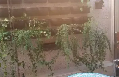 Apartamento à venda no Centro, Ubá 