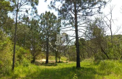 Chacara de 11.440 metros com 3 casas e um pesquiros em franco da rocha sp
