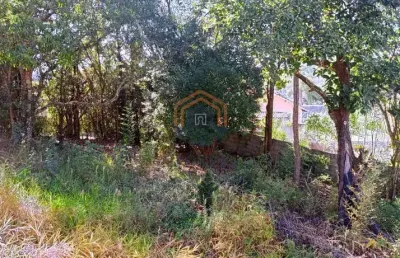 Chácara / sítio à venda na Rua José Benedito Arcanjo, Parque das Videiras, Jarinu