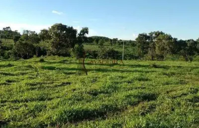 Chácara / sítio com 2 quartos à venda na Zona Rural, Ribeirão Cascalheira 