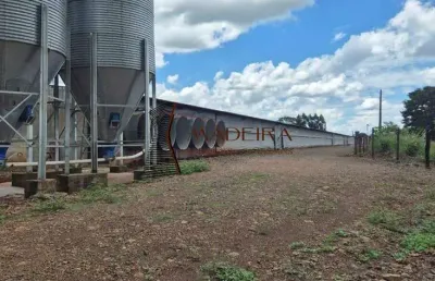Aviário a venda - sitio de 1 alqueire e meio - cambira pr