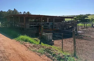 Chácara / sítio à venda na Zona Rural, Santa Fé 