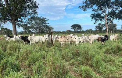 Chácara / sítio com 1 quarto à venda na Zona Rural, Novo São Joaquim 