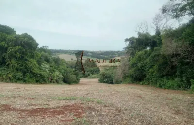 Chácara / sítio à venda na Área Rural de Apucarana, Apucarana 