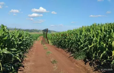 Chácara / sítio à venda no Centro, Engenheiro Beltrão 
