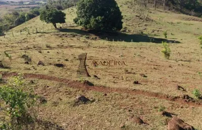 Chácara / sítio à venda na Zona Rural, Mandaguari 