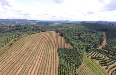 Fazenda à venda no centro, nepomuceno  por r$ 6.280.000