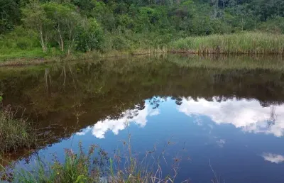 Fazenda à venda em santana, são josé dos campos  por r$ 6.660.000