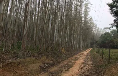 Chácara / sítio com 1 quarto à venda na zona rural, biritiba-mirim  por r$ 2.250.000
