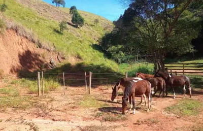 Chácara / sítio com 1 quarto à venda no turvo, são josé dos campos  por r$ 1.600.000