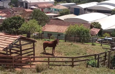 Chácara / sítio com 3 quartos à venda na zona rural, lambari  por r$ 990.000