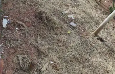 Terreno à venda na bela vista, paraibuna  por r$ 110.000