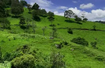 Chácara / sítio à venda no paiol velho, são bento do sapucaí  por r$ 1.500.000
