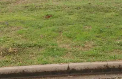 Terreno para venda em araraquara, residencial ravena