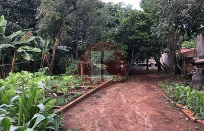 Terreno à venda no Trevo, Belo Horizonte 