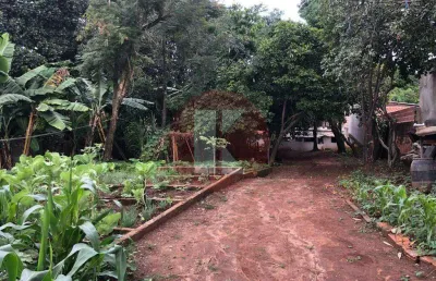 Terreno à venda no Trevo, Belo Horizonte 