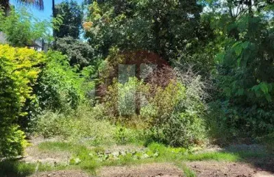 Terreno à venda em São Luiz, Belo Horizonte 