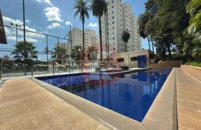 Apartamento para aluguel, 2 quartos, 2 vagas, santa amélia - belo horizonte/mg