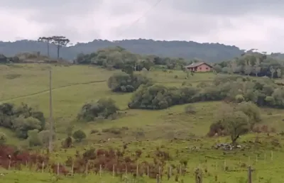 Fazenda para venda em caxias do sul, mulada, 3 dormitórios, 1 suíte, 3 banheiros, 3 vagas